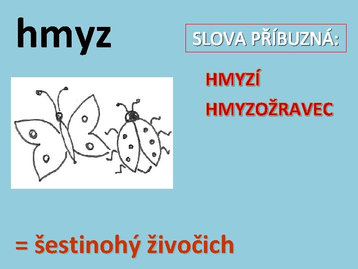 hmyz SLOVA PŘÍBUZNÁ: HMYZÍ HMYZOŽRAVEC = šestinohý živočich 