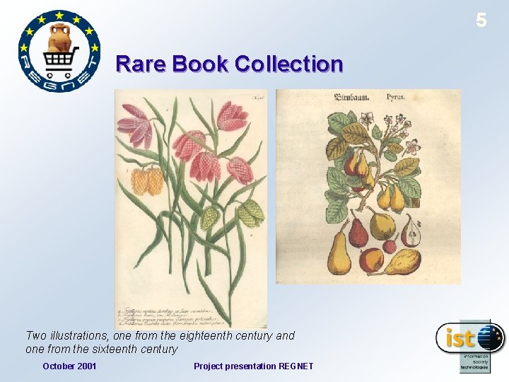 5 Rare Book Collection Two illustrations, one from the eighteenth century and one from