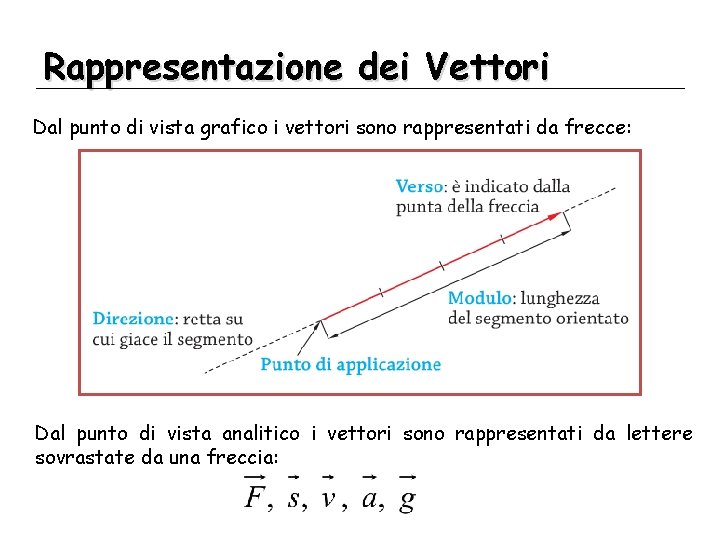 Rappresentazione dei Vettori Dal punto di vista grafico i vettori sono rappresentati da frecce: