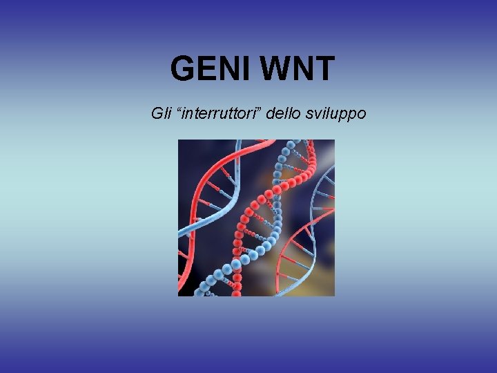 GENI WNT Gli “interruttori” dello sviluppo 