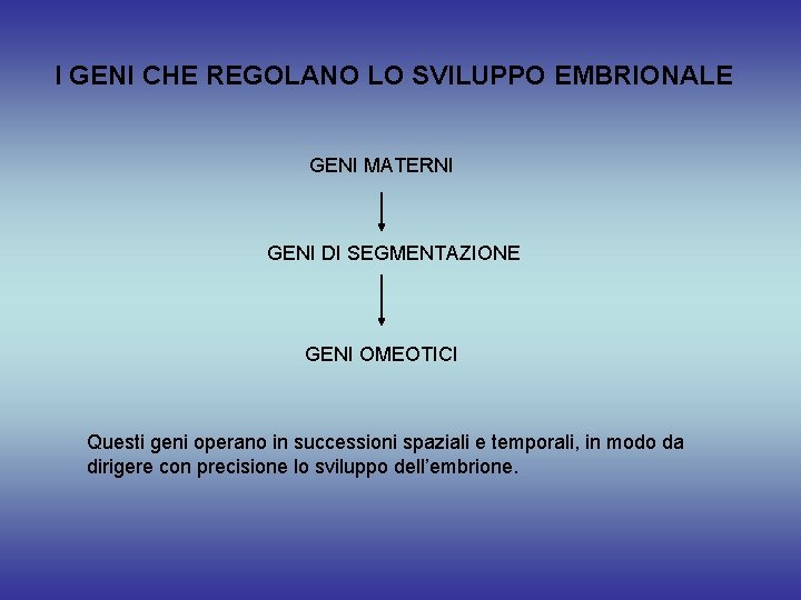 I GENI CHE REGOLANO LO SVILUPPO EMBRIONALE GENI MATERNI GENI DI SEGMENTAZIONE GENI OMEOTICI