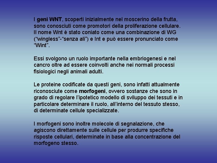 I geni WNT, scoperti inizialmente nel moscerino della frutta, sono conosciuti come promotori della