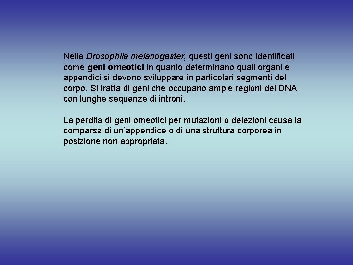 Nella Drosophila melanogaster, questi geni sono identificati come geni omeotici in quanto determinano quali