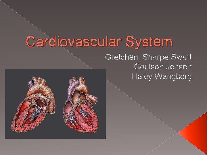 Cardiovascular System Gretchen Sharpe-Swart Coulson Jensen Haley Wangberg 