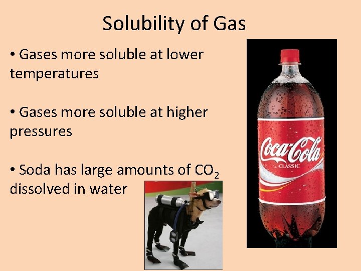 Solubility of Gas • Gases more soluble at lower temperatures • Gases more soluble