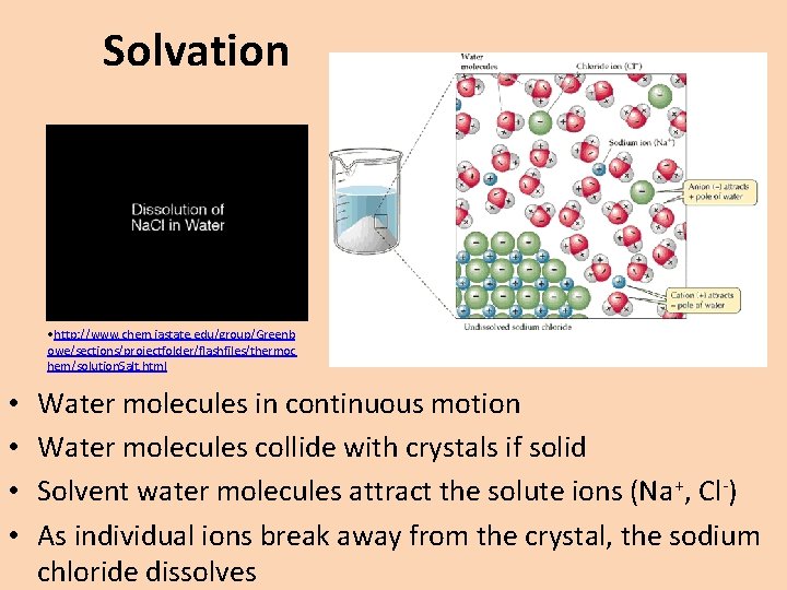 Solvation • http: //www. chem. iastate. edu/group/Greenb owe/sections/projectfolder/flashfiles/thermoc hem/solution. Salt. html • • Water