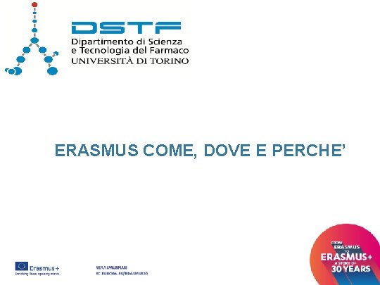 ERASMUS COME, DOVE E PERCHE’ 