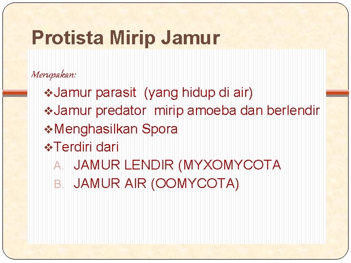 Protista Mirip Jamur Merupakan: v. Jamur parasit (yang hidup di air) v. Jamur predator