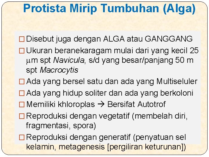 Protista Mirip Tumbuhan (Alga) � Disebut juga dengan ALGA atau GANG � Ukuran beranekaragam