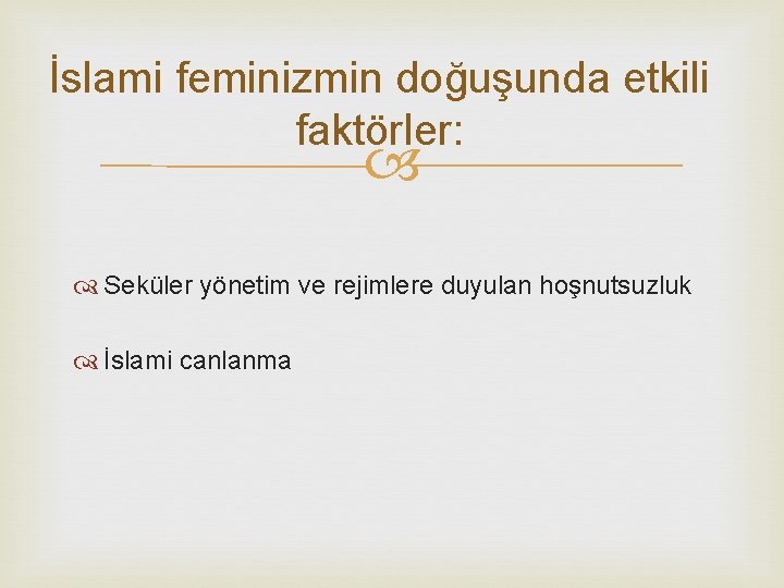 İslami feminizmin doğuşunda etkili faktörler: Seküler yönetim ve rejimlere duyulan hoşnutsuzluk İslami canlanma 