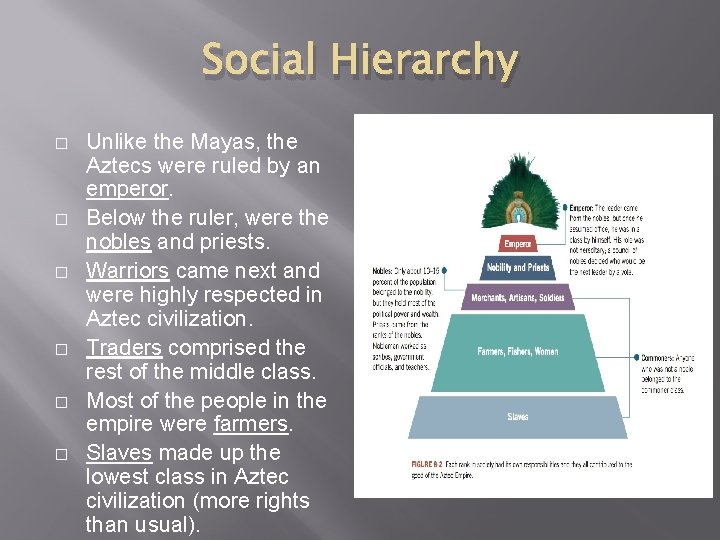 Social Hierarchy � � � Unlike the Mayas, the Aztecs were ruled by an