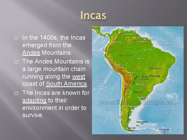 Incas � � � In the 1400 s, the Incas emerged from the Andes