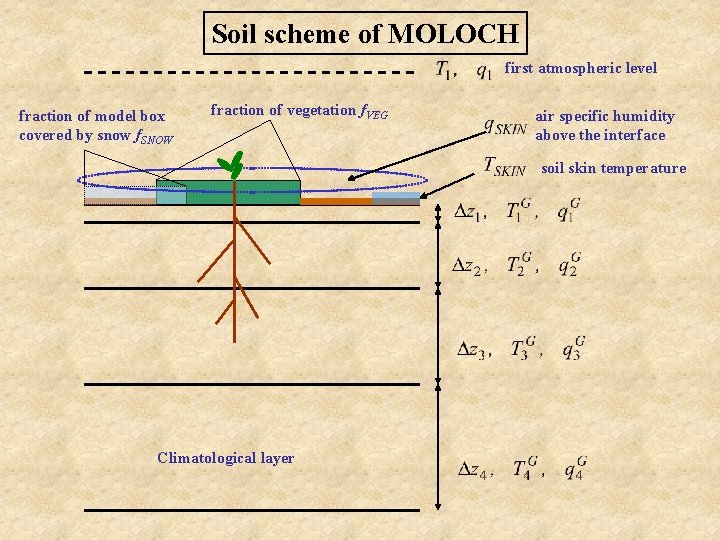 Soil scheme of MOLOCH first atmospheric level fraction of model box covered by snow