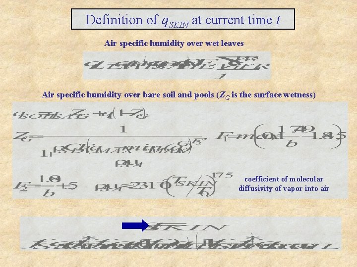 Definition of q. SKIN at current time t Air specific humidity over wet leaves