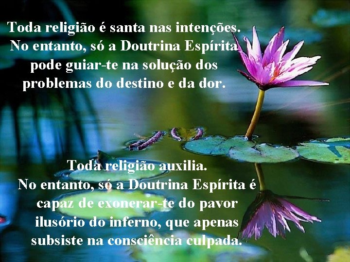 Toda religião é santa nas intenções. No entanto, só a Doutrina Espírita pode guiar-te