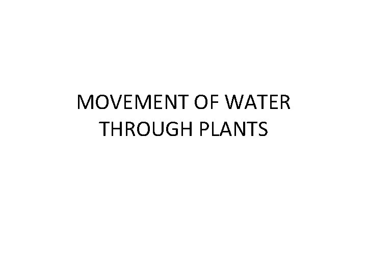 MOVEMENT OF WATER THROUGH PLANTS 