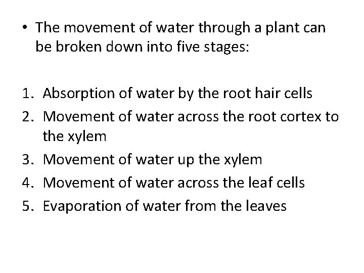  • The movement of water through a plant can be broken down into