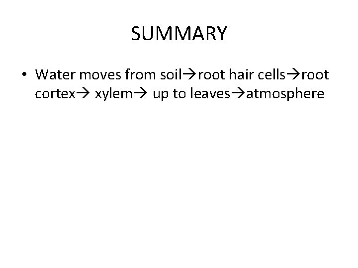 SUMMARY • Water moves from soil root hair cells root cortex xylem up to