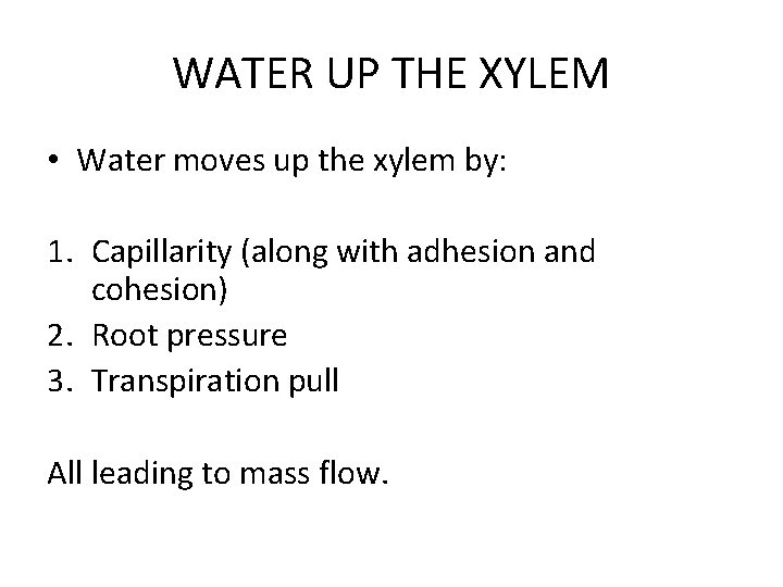 WATER UP THE XYLEM • Water moves up the xylem by: 1. Capillarity (along