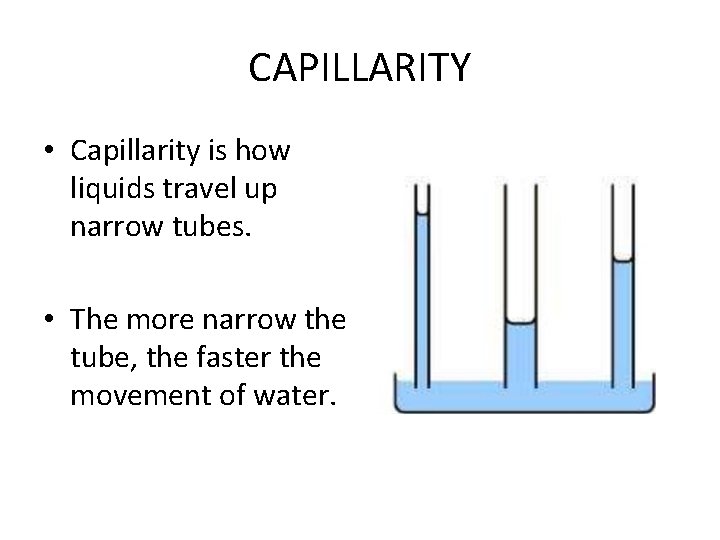 CAPILLARITY • Capillarity is how liquids travel up narrow tubes. • The more narrow