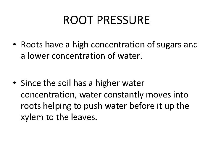 ROOT PRESSURE • Roots have a high concentration of sugars and a lower concentration