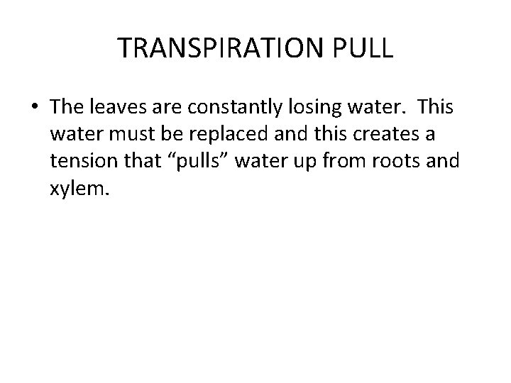TRANSPIRATION PULL • The leaves are constantly losing water. This water must be replaced