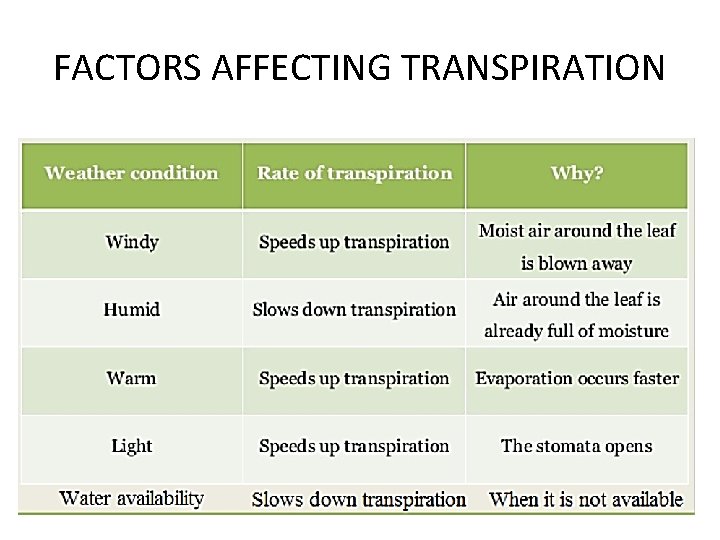 FACTORS AFFECTING TRANSPIRATION 