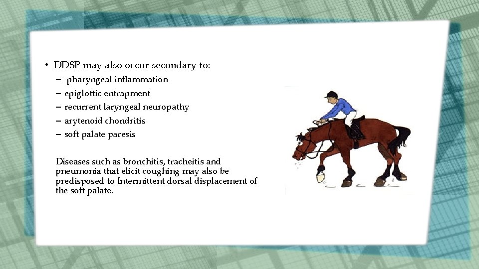 • DDSP may also occur secondary to: – – – pharyngeal inflammation epiglottic • DDSP may also occur secondary to: – – – pharyngeal inflammation epiglottic
