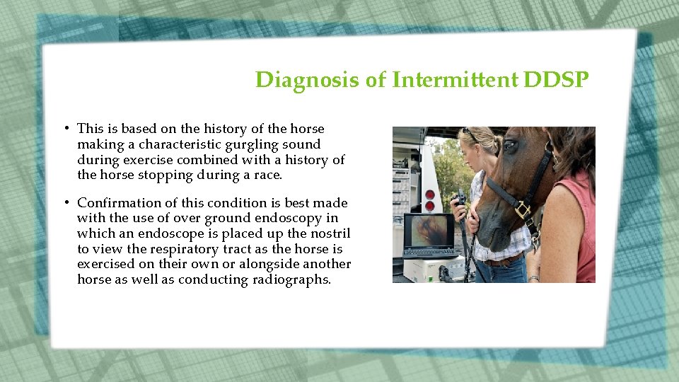 Diagnosis of Intermittent DDSP • This is based on the history of the horse Diagnosis of Intermittent DDSP • This is based on the history of the horse