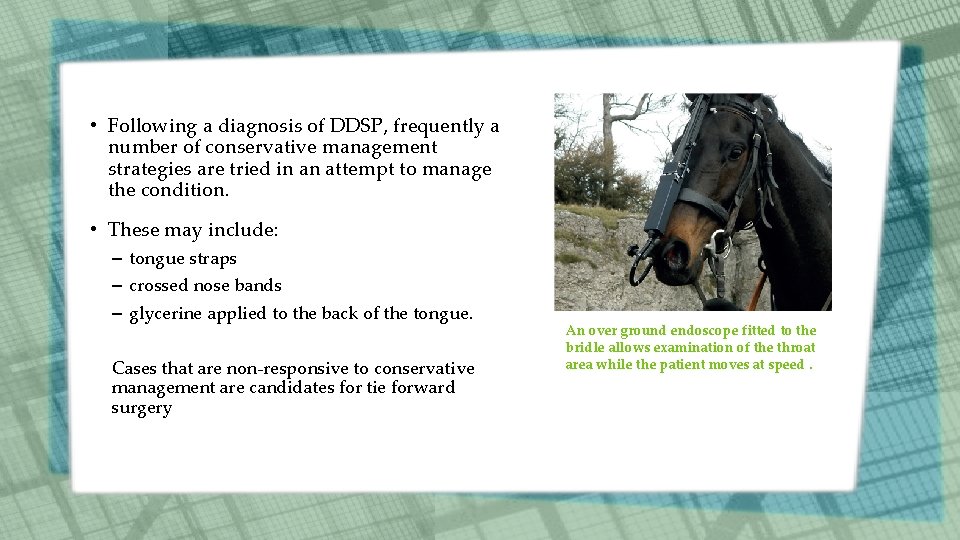 • Following a diagnosis of DDSP, frequently a number of conservative management strategies • Following a diagnosis of DDSP, frequently a number of conservative management strategies