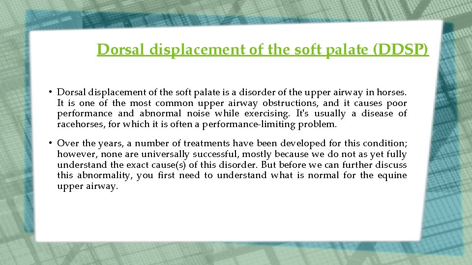 Dorsal displacement of the soft palate (DDSP) • Dorsal displacement of the soft palate Dorsal displacement of the soft palate (DDSP) • Dorsal displacement of the soft palate