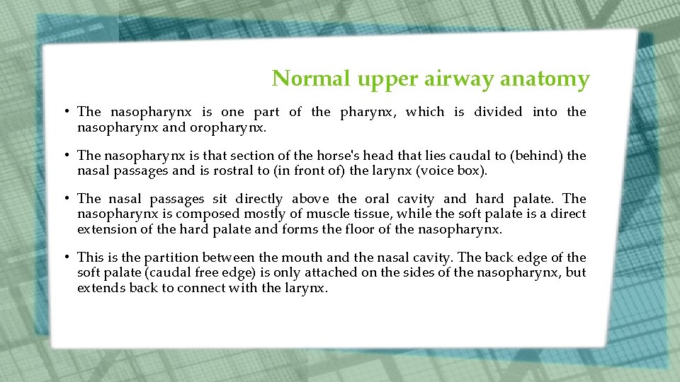 Normal upper airway anatomy • The nasopharynx is one part of the pharynx, which Normal upper airway anatomy • The nasopharynx is one part of the pharynx, which