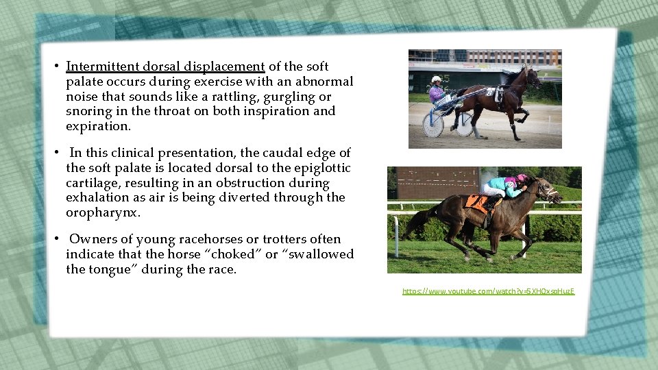 • Intermittent dorsal displacement of the soft palate occurs during exercise with an • Intermittent dorsal displacement of the soft palate occurs during exercise with an