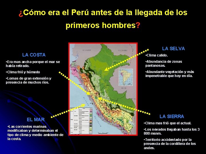 ¿Cómo era el Perú antes de la llegada de los primeros hombres? LA SELVA