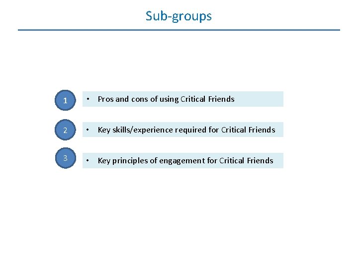 Sub-groups 1 • Pros and cons of using Critical Friends 2 • Key skills/experience