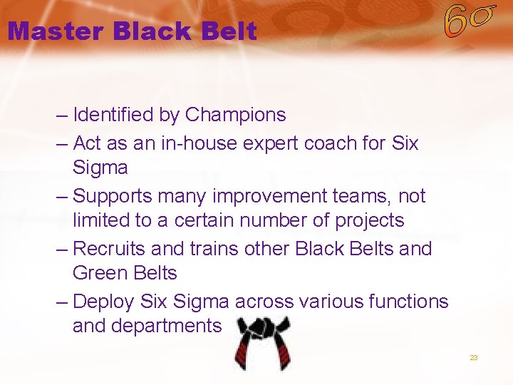 Master Black Belt – Identified by Champions – Act as an in-house expert coach