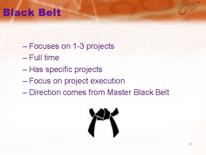 Black Belt – Focuses on 1 -3 projects – Full time – Has specific
