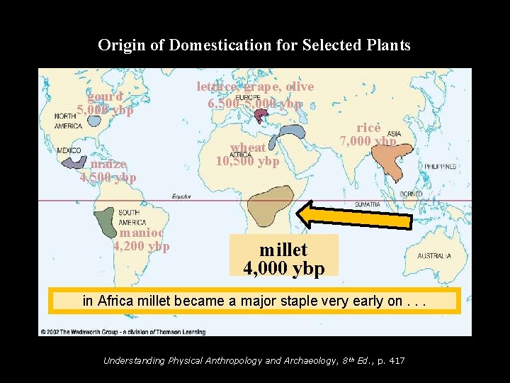 Origin of Domestication for Selected Plants gourd 5, 000 ybp maize 4, 500 ybp