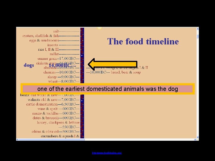 The food timeline dogs 14, 000 BC--- one of the earliest domesticated animals was