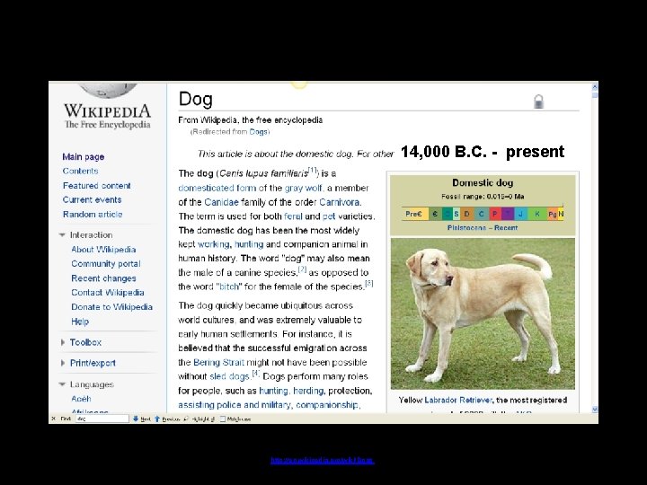 14, 000 B. C. - present http: //en. wikipedia. org/wiki/Dogs 