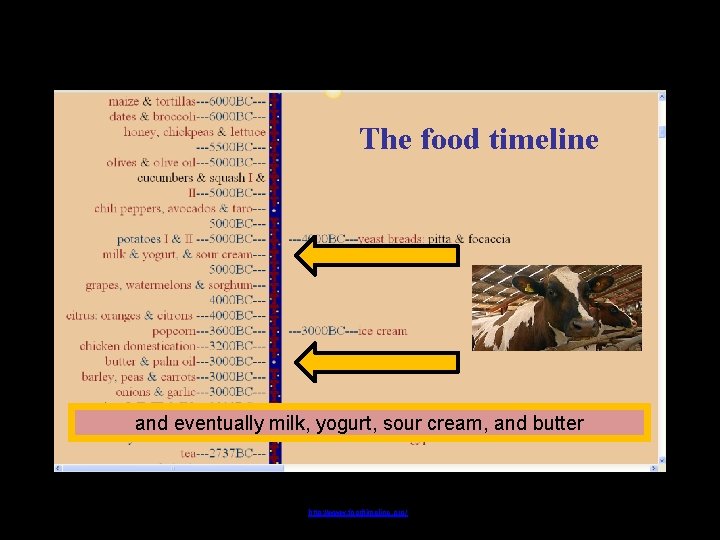 The food timeline and eventually milk, yogurt, sour cream, and butter http: //www. foodtimeline.