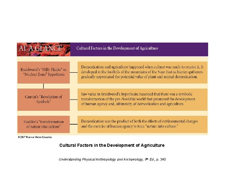 Cultural Factors in the Development of Agriculture Understanding Physical Anthropology and Archaeology, 9 th