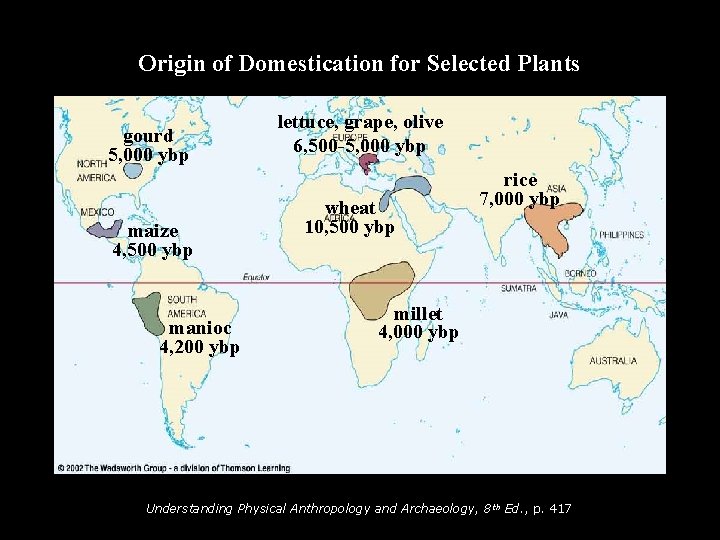 Origin of Domestication for Selected Plants gourd 5, 000 ybp maize 4, 500 ybp