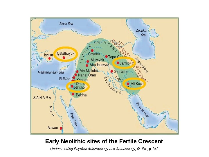 Early Neolithic sites of the Fertile Crescent Understanding Physical Anthropology and Archaeology, 9 th