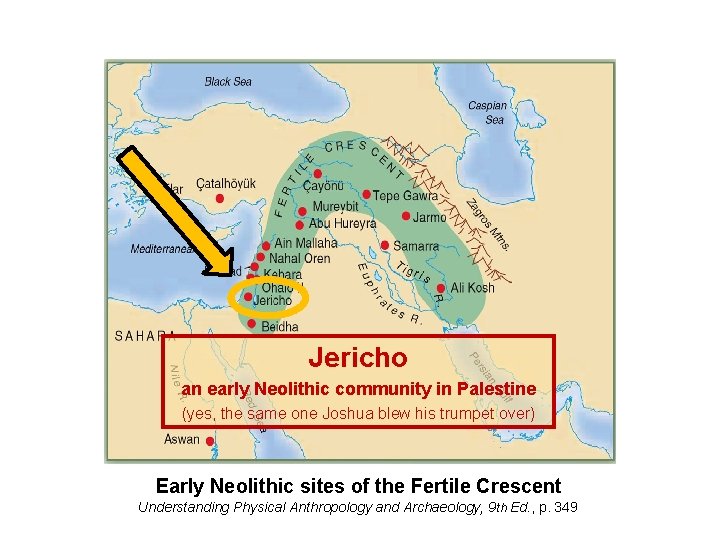 Jericho an early Neolithic community in Palestine (yes, the same one Joshua blew his