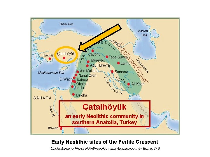 Çatalhöyük an early Neolithic community in southern Anatolia, Turkey Early Neolithic sites of the