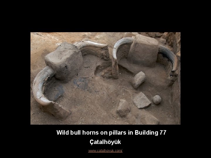 Wild bull horns on pillars in Building 77 Çatalhöyük www. catalhoyuk. com/ 