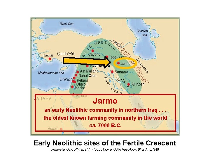 Jarmo an early Neolithic community in northern Iraq. . . the oldest known farming