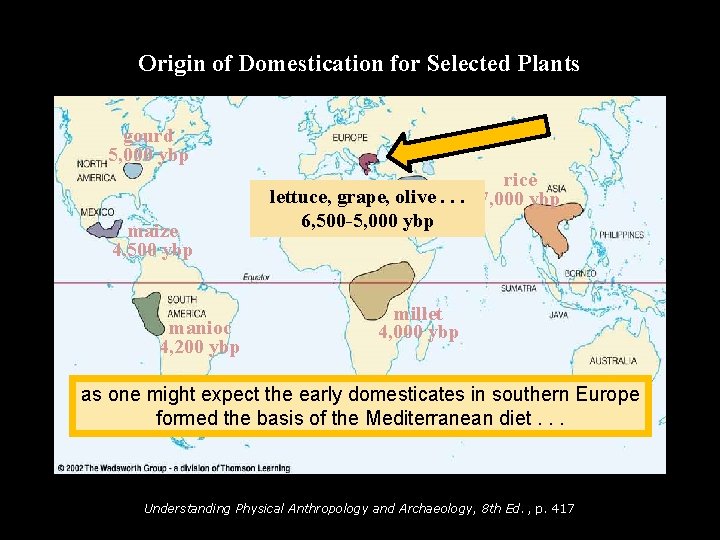 Origin of Domestication for Selected Plants gourd 5, 000 ybp maize 4, 500 ybp