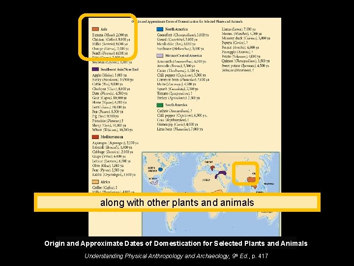 along with other plants and animals Origin and Approximate Dates of Domestication for Selected